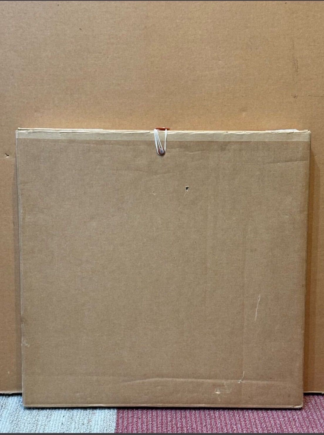 Fini エルベティウス婦人の猫