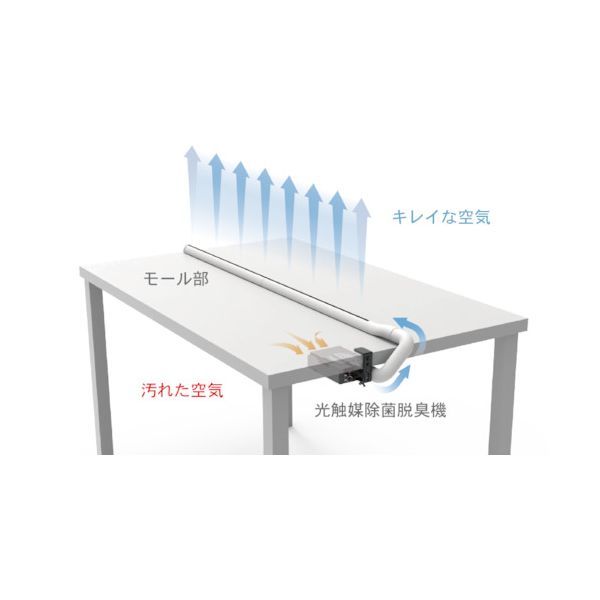 ホワイト KLT01MW