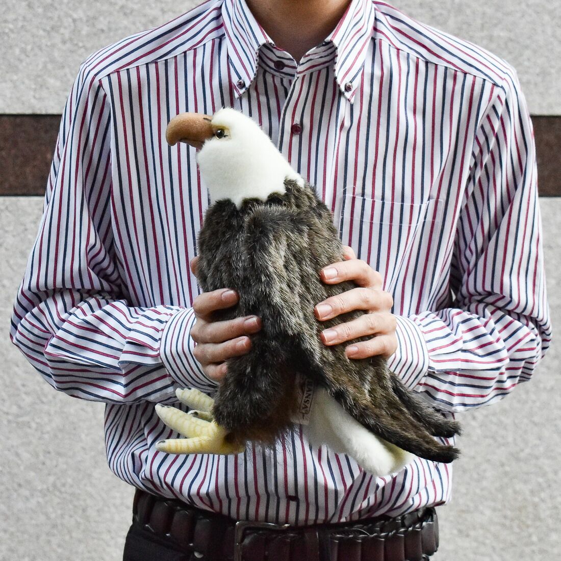 HANSA ハクトウワシ20 H20(cm) 5616 ぬいぐるみ ハンサ 白頭鷲