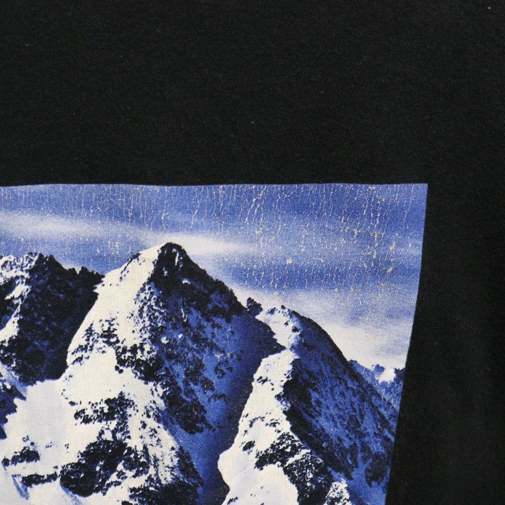 SUPREME (シュプリーム) 17AW ×THE NORTH FACE Mountain ザノースフェイス 雪山プリント 半袖Tシャツ ブラック