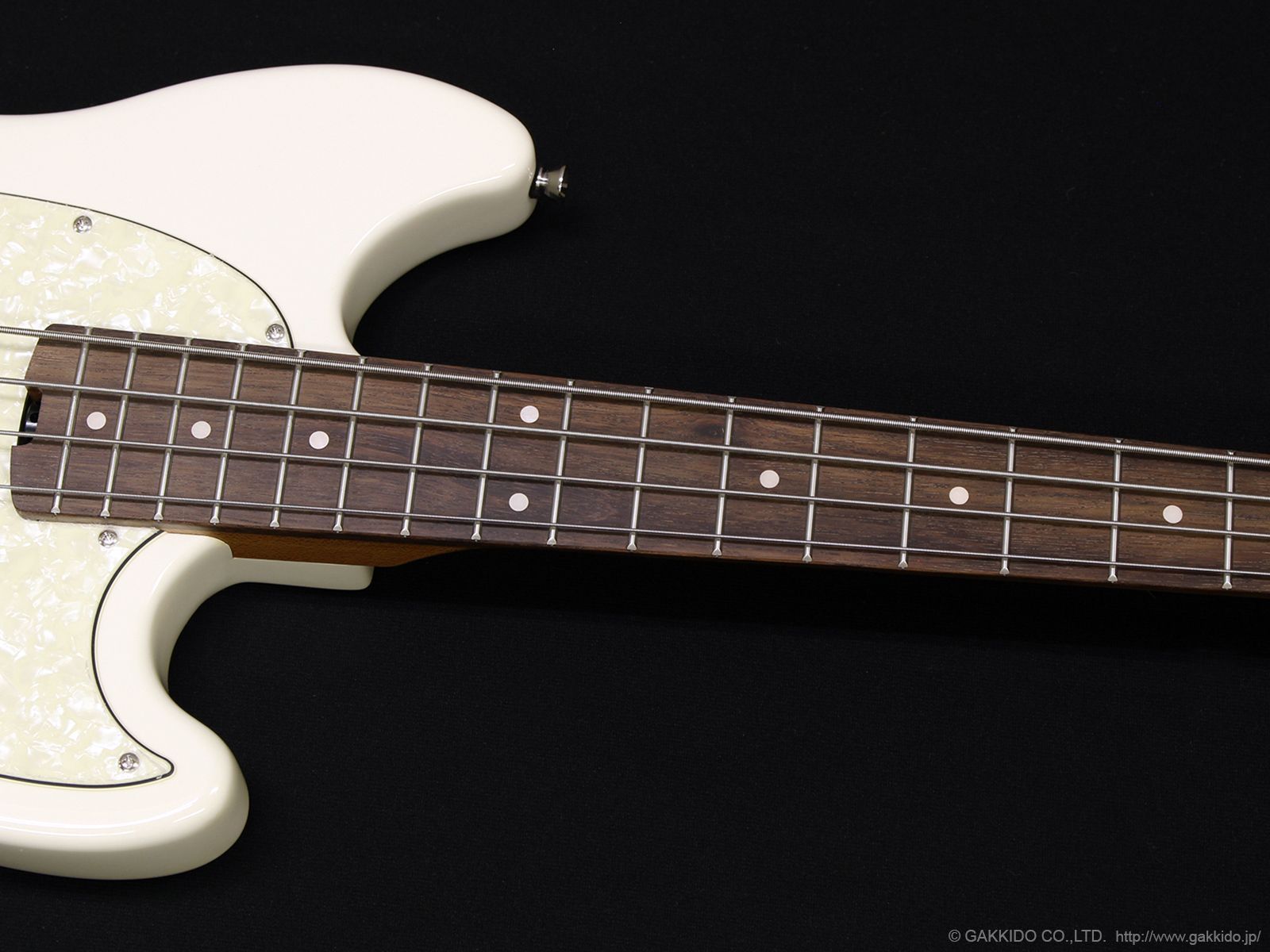 最終値下げスタート！ Sfida SJB-450 White 日本限定