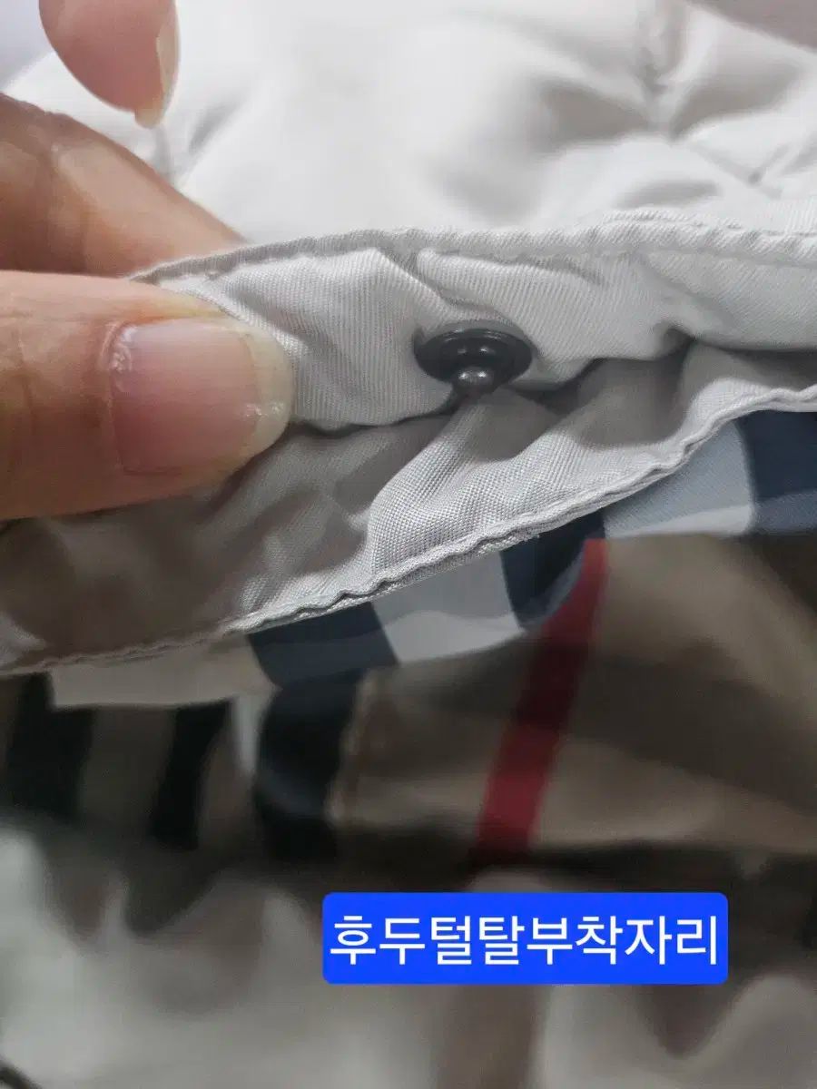 バーバリーキッズ 女の子