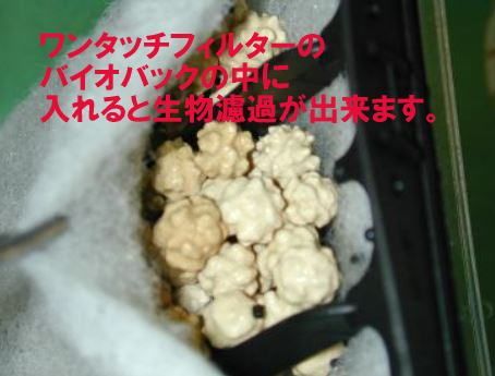 〒 ニュー ゼオセラ （コンペイトウ ） 多機能ろ過材 ! 約300cc - メルカリ