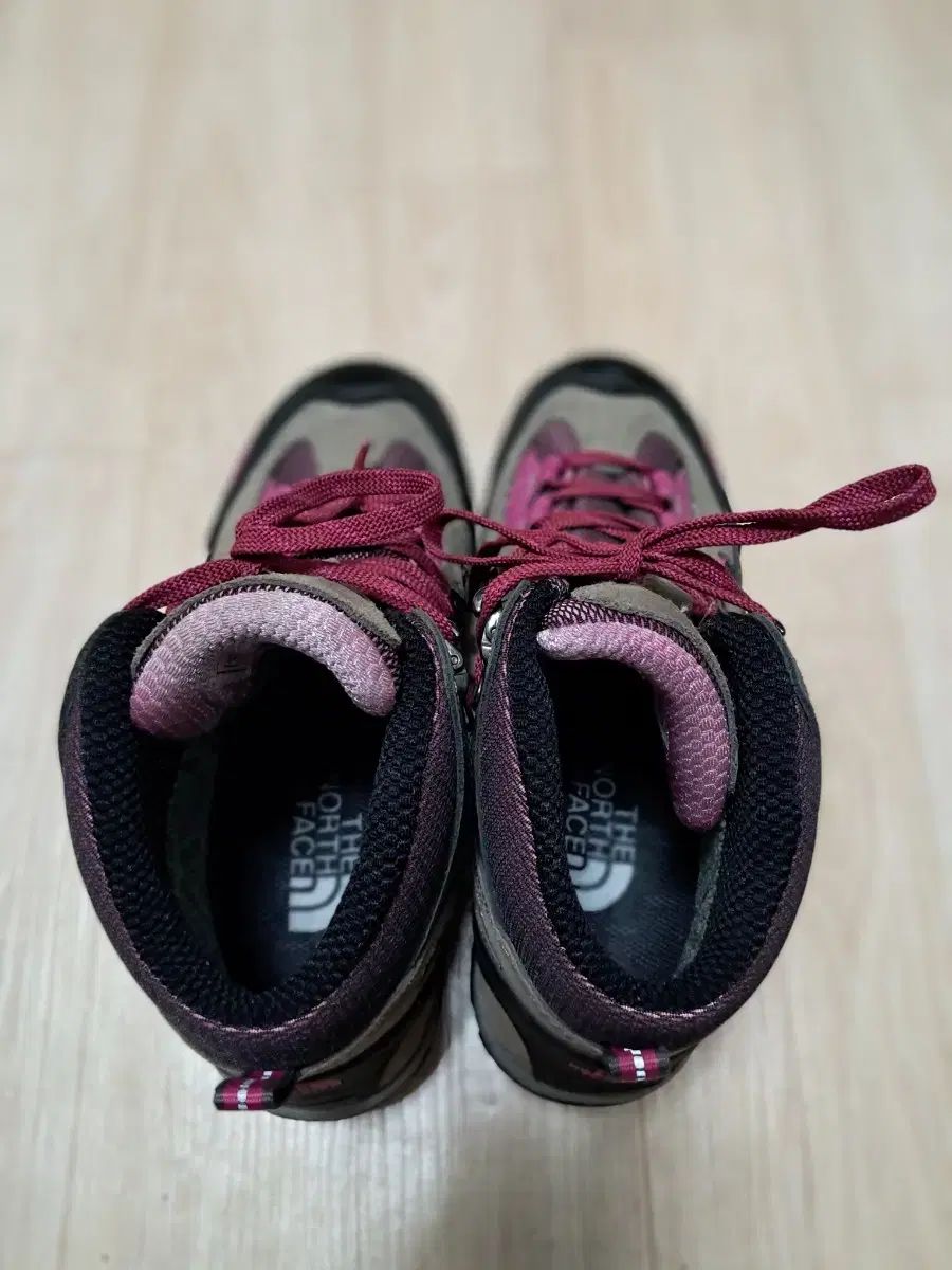 FACE ザノースフェイス