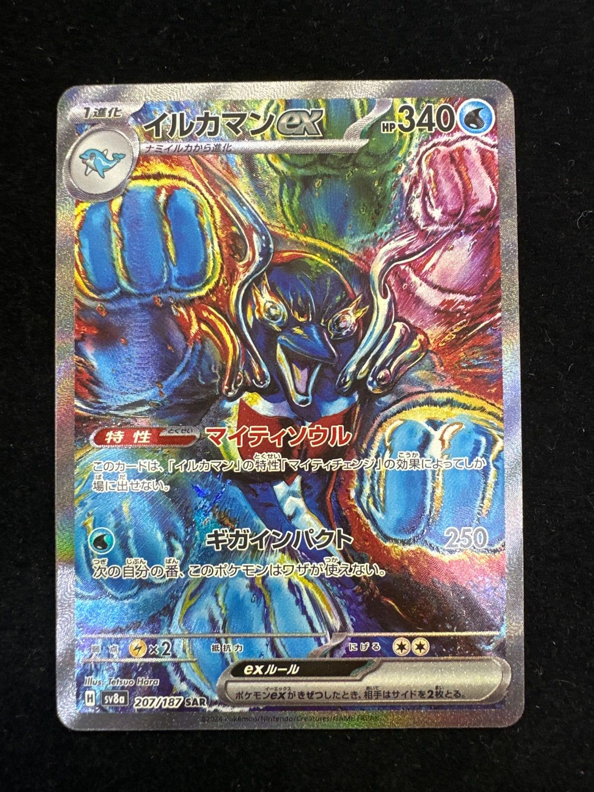イルカマンex SAR テラスタルフェス