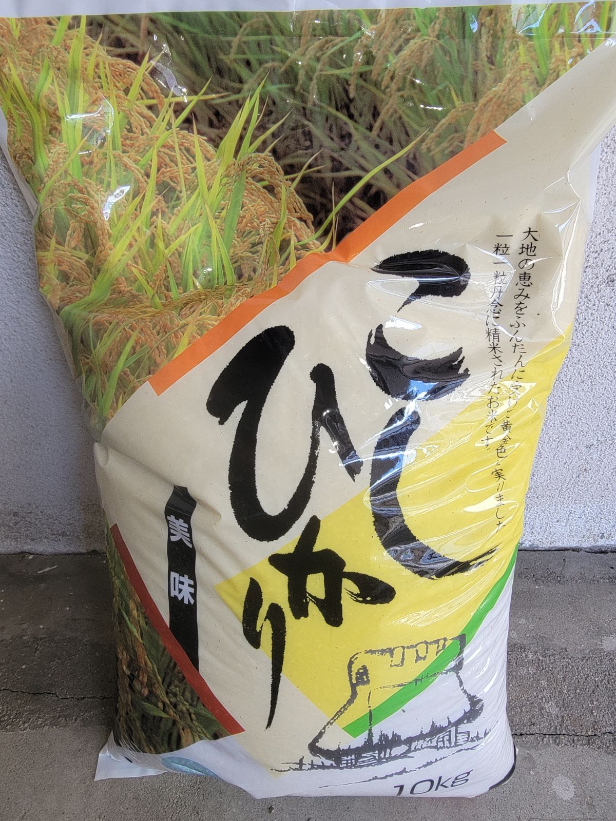 鳥取琴浦産 白米１０kg コシヒカリ