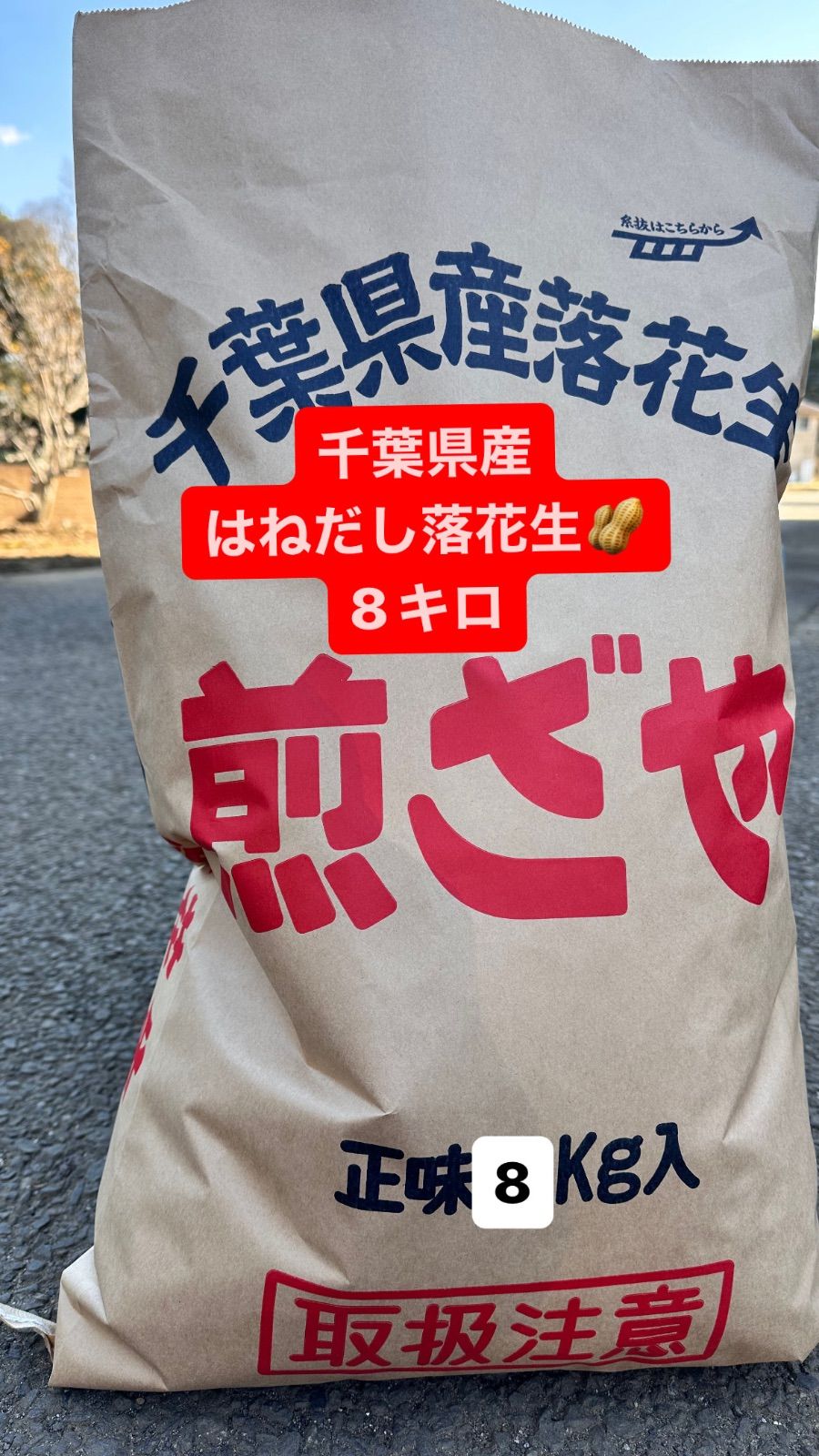 千葉県産落花生 千葉半立ちはねだし大袋8キロ