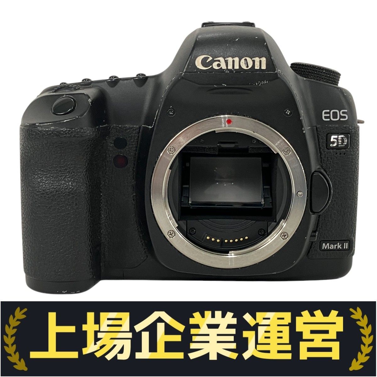 Canon EOS 5D Mark II 一眼デジタル ボディ バッテリー 充電器欠