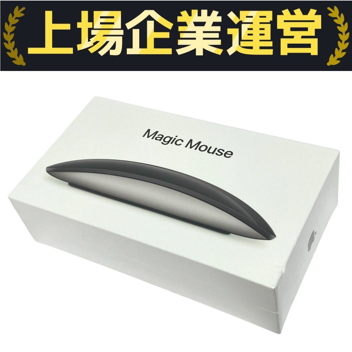 Apple MMMQ3J/A A1657 Magic Mouse ワイヤレス マウス アップル