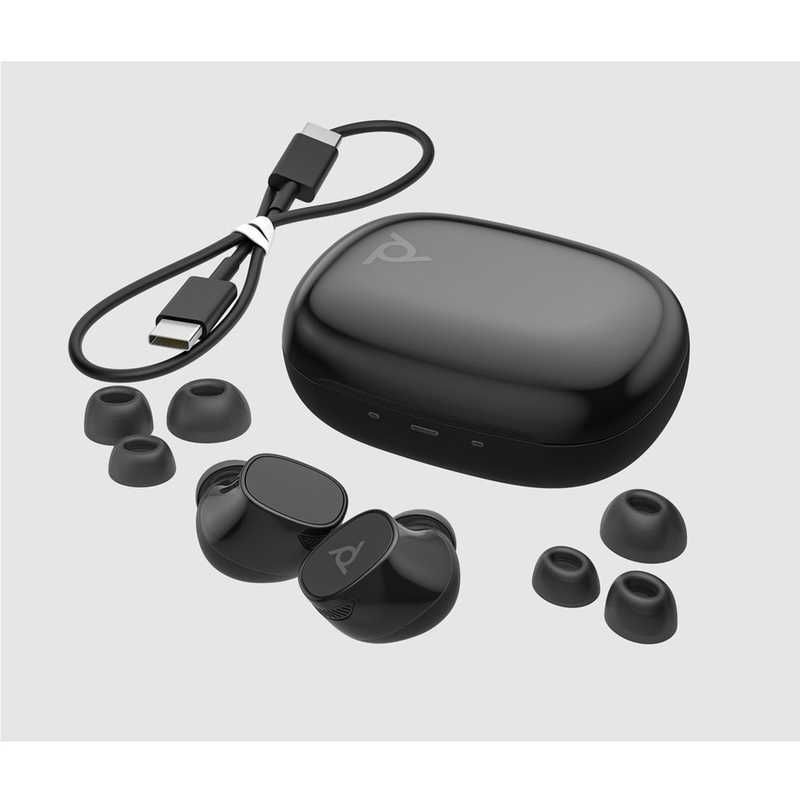 イヤホンタイプ PPVYG-F20GRRTL