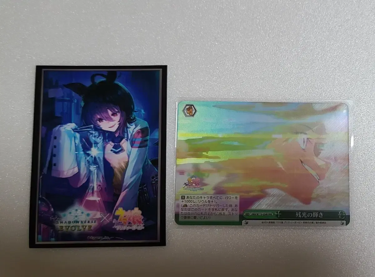 ヴァイスシュヴァルツ　可能性のその先へ　アグネスタキオン spサイン 2025年最新】可能性のその先へ アグネスタキオンの人気アイテム