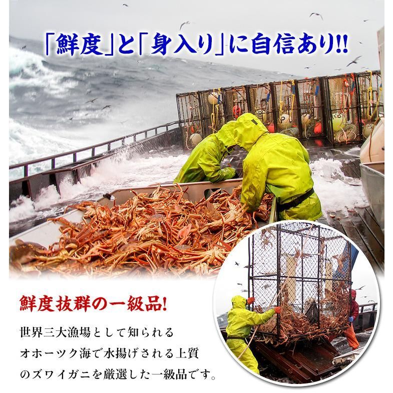 フルポーション