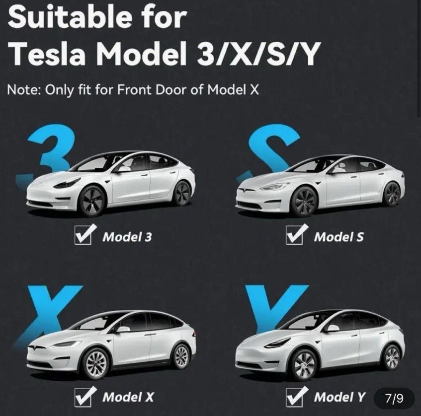 Tesla テスラ専用 ドア ロゴ カーテシランプ 左右2個 純正交換 ガラス