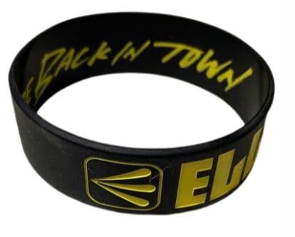 ELLEGARDEN エルレガーデン エルレ THE BOYS ARE BACK IN TOWN TOUR