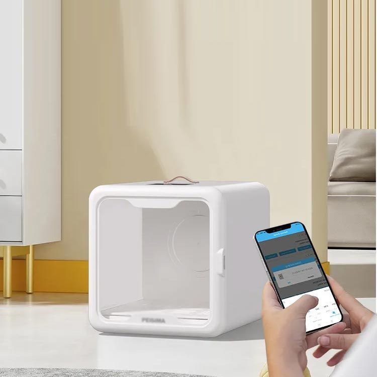 サルバドール・ダリ　大型リトグラフ　裸婦 貴族 天使 カーテン サルバドール・ダリ 大型リトグラフ 裸婦 貴族 天使 カーテン