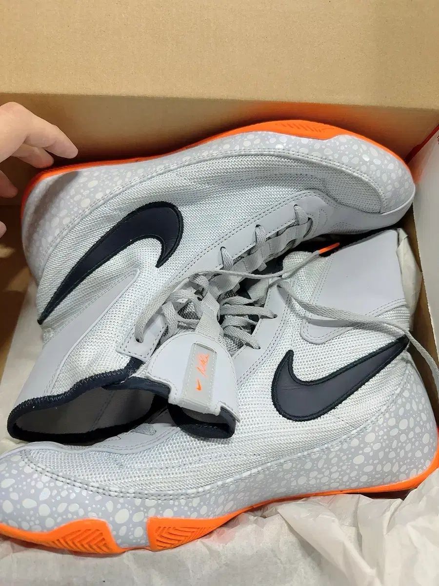 MYマイスピード501