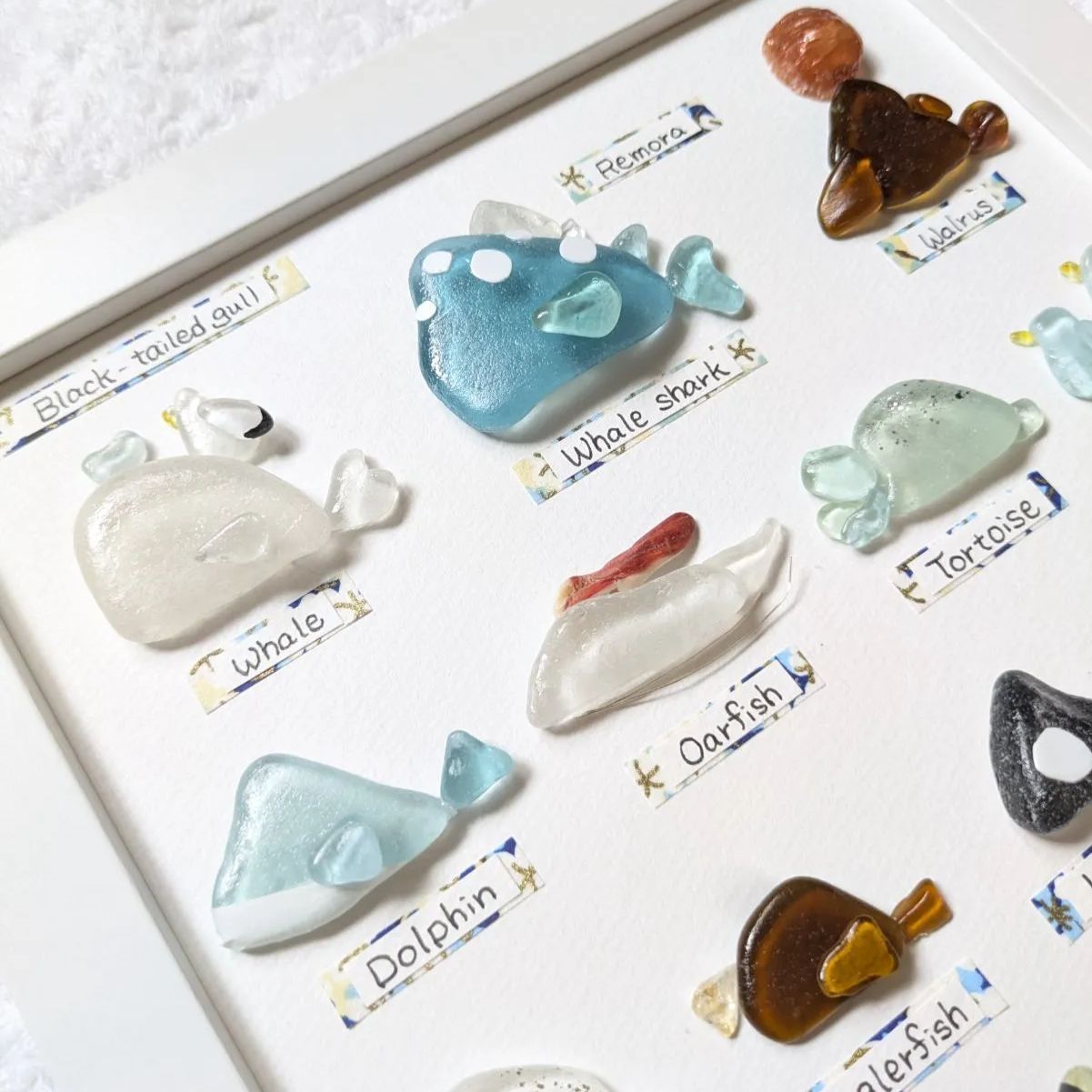 Aquarium】 シーグラスアート 夏 海の生き物 水族館 生き物 レアカラー  