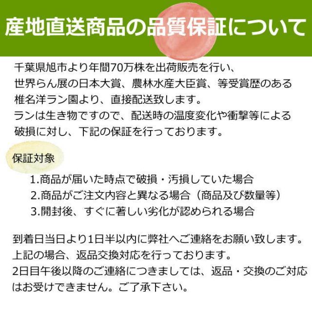 蘭