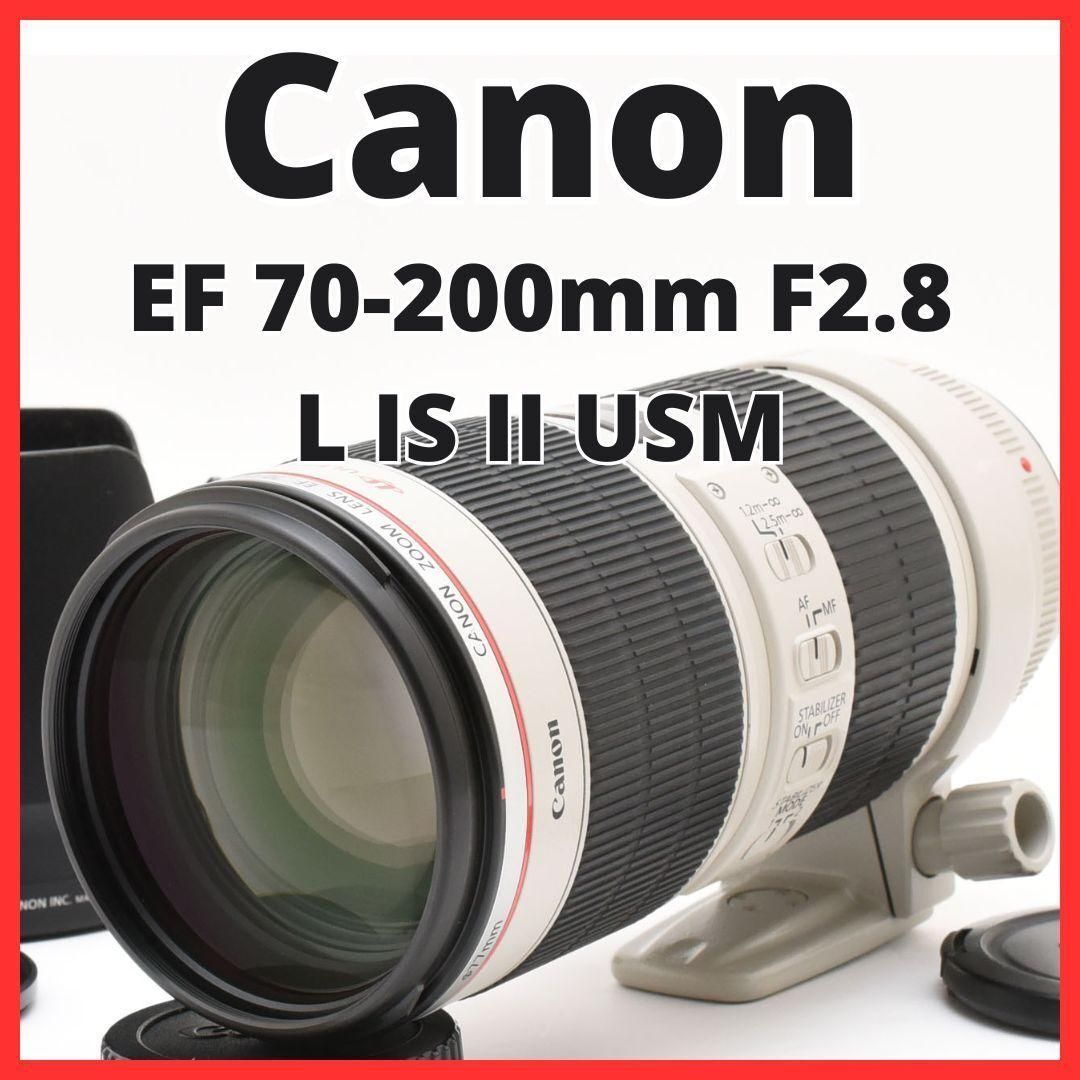 D10|6477A Canon EF 70-200mm F2.8 L IS II
