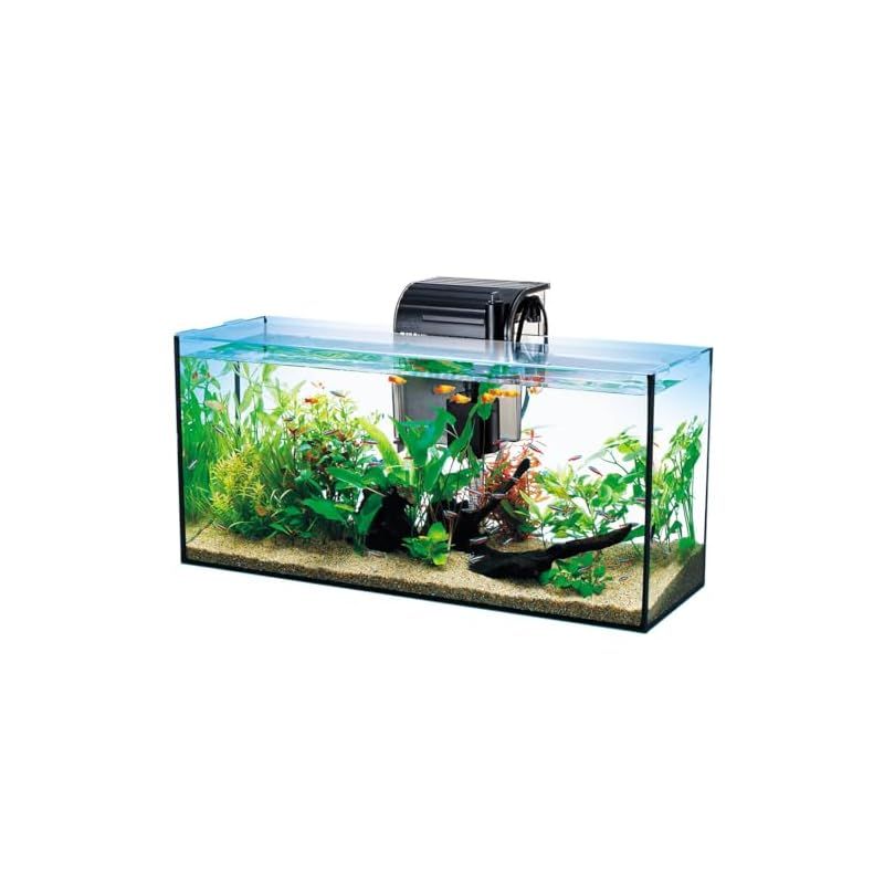 テトラ オールグラスアクアリウム300 熱帯魚セット 水槽 アク
