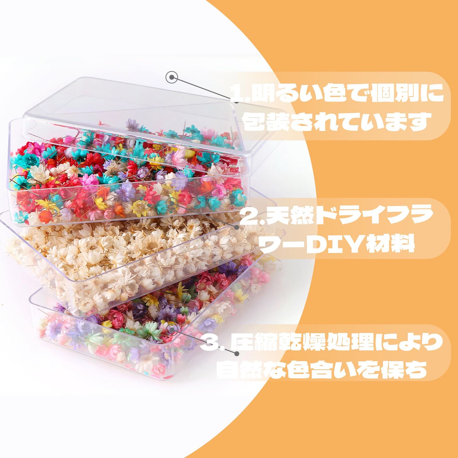 在庫整理❣️爆盛り‼️ドライ　花材　長め ドライリースならFlower&Plants tette │ 「手から手へ、想いを