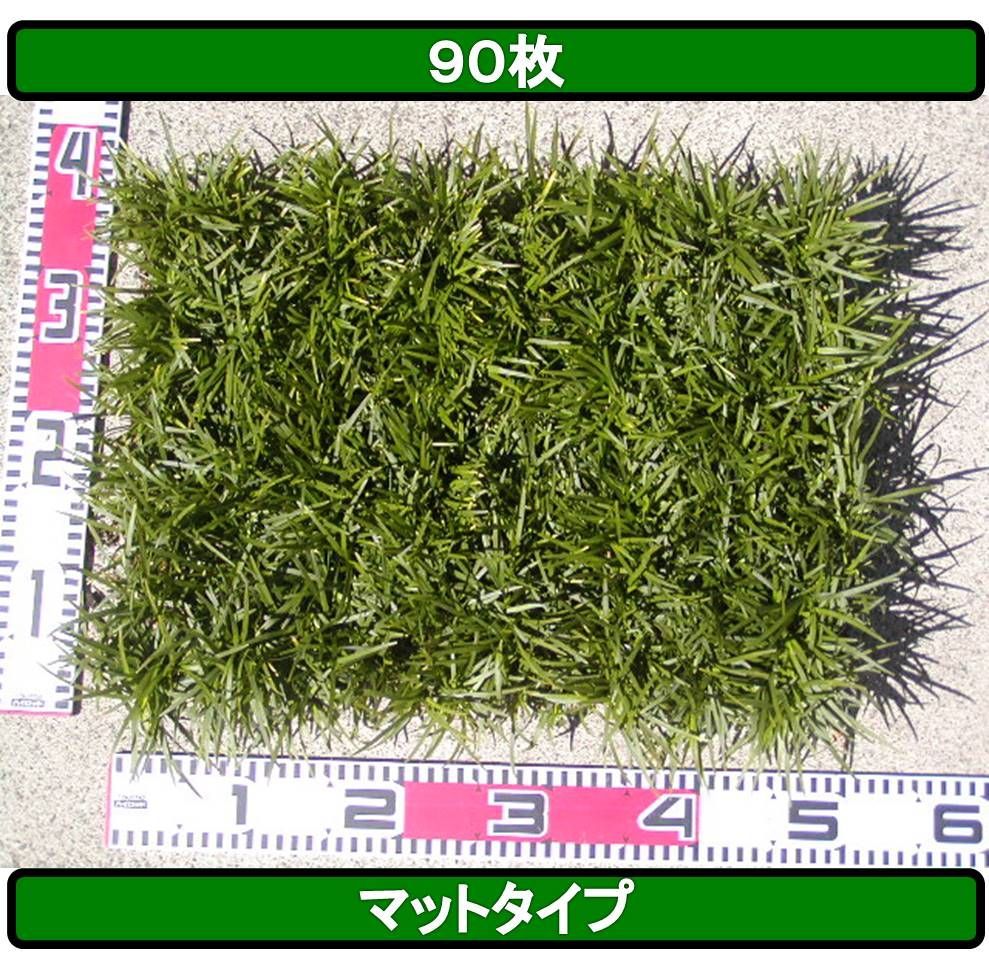 タマリュウ 玉竜 たまりゅう ９０枚
