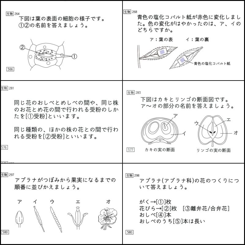 中学受験 暗記カード 理科 生物 サピックス 予習シリーズ コア