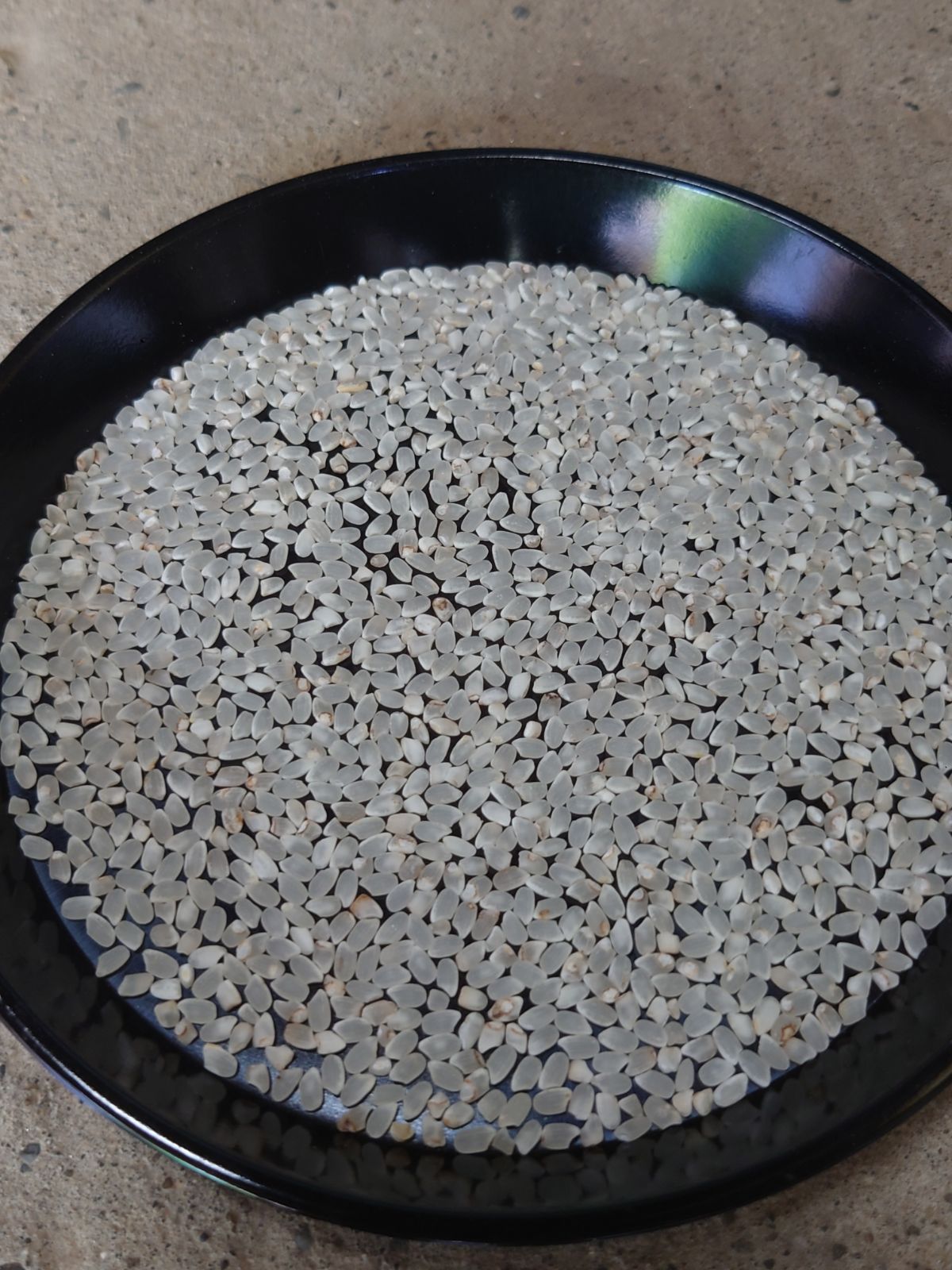 くず米 24kg エサ用 白米 - メルカリ