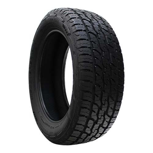 225|55R17