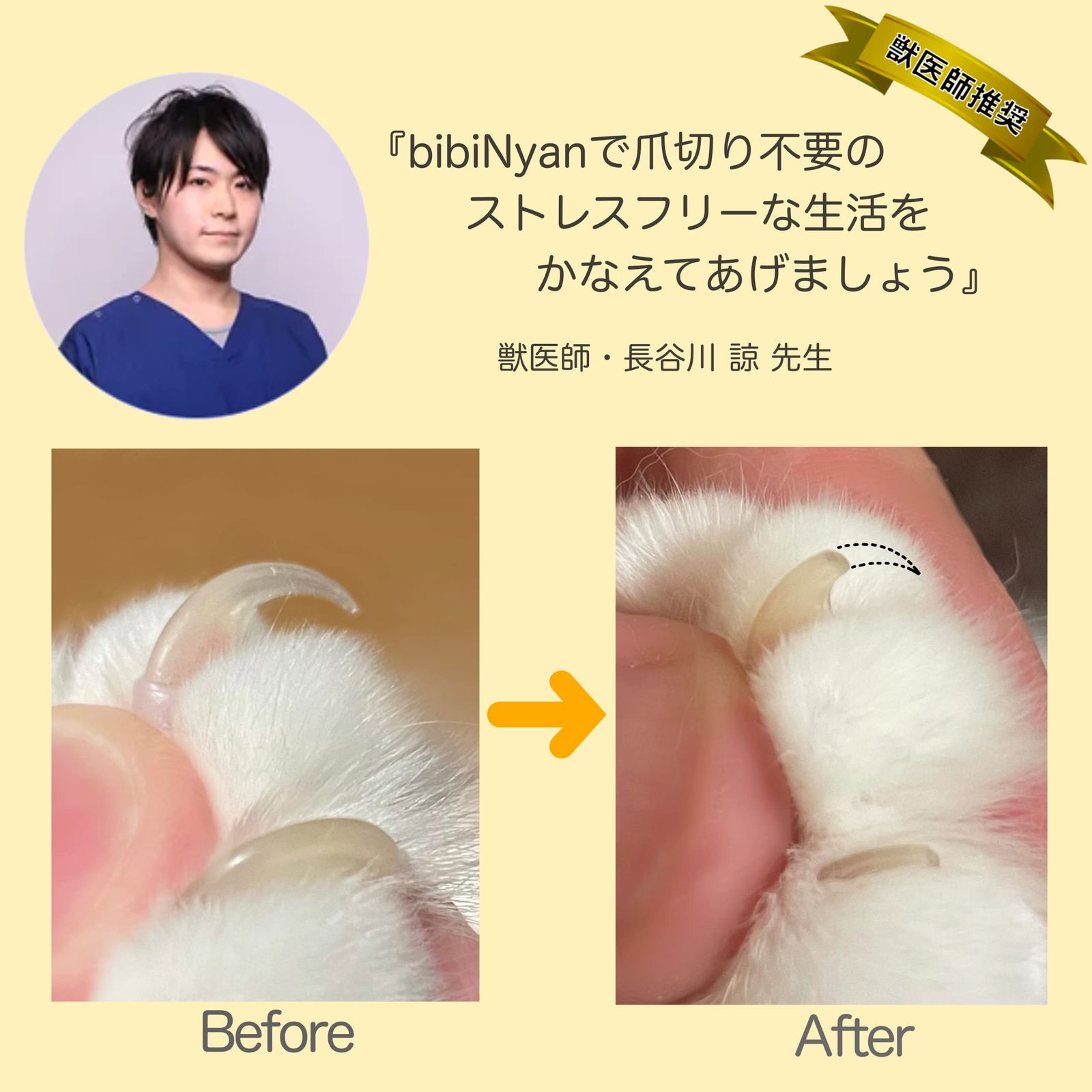 爪切り不要の爪とぎボード