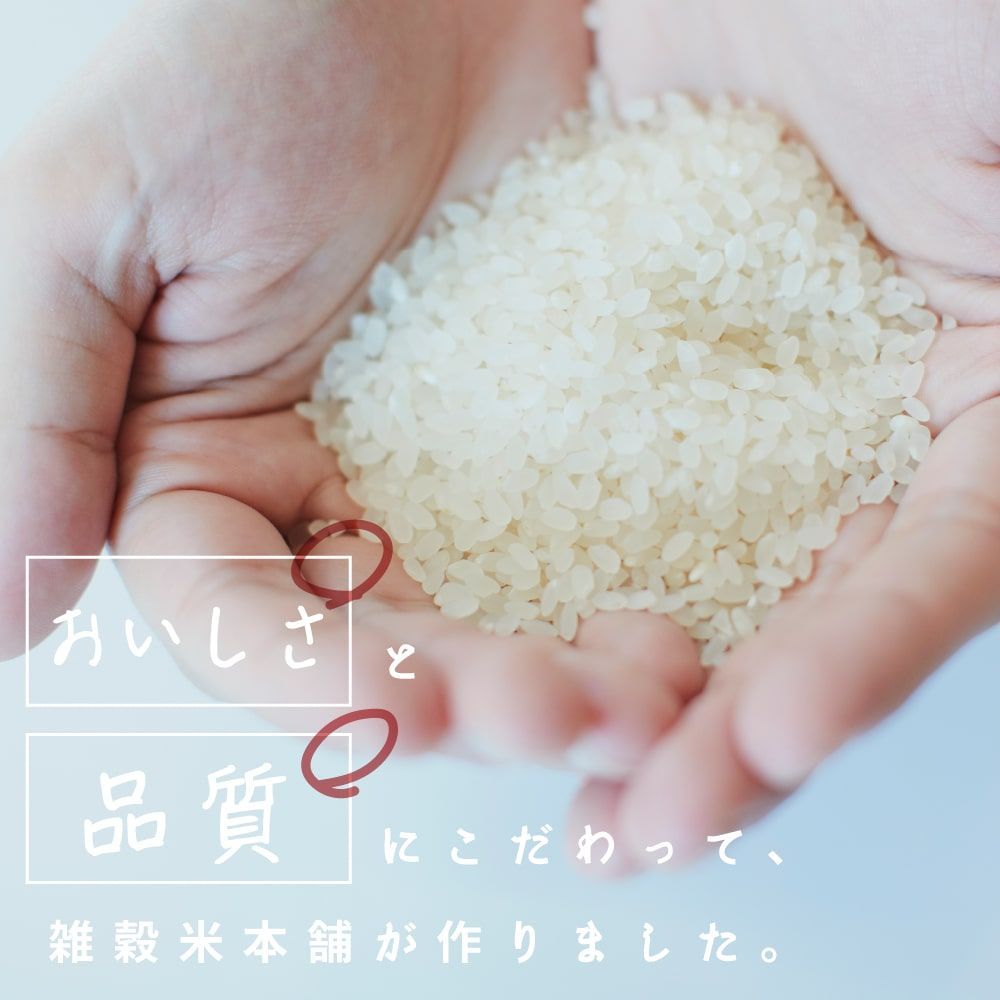 白米　20キロ 白米20kg】令和7年産 新米 早期受付 秋田県産 あきたこまち