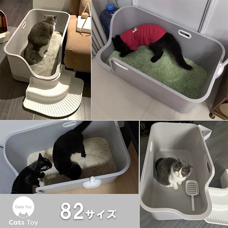 トイ