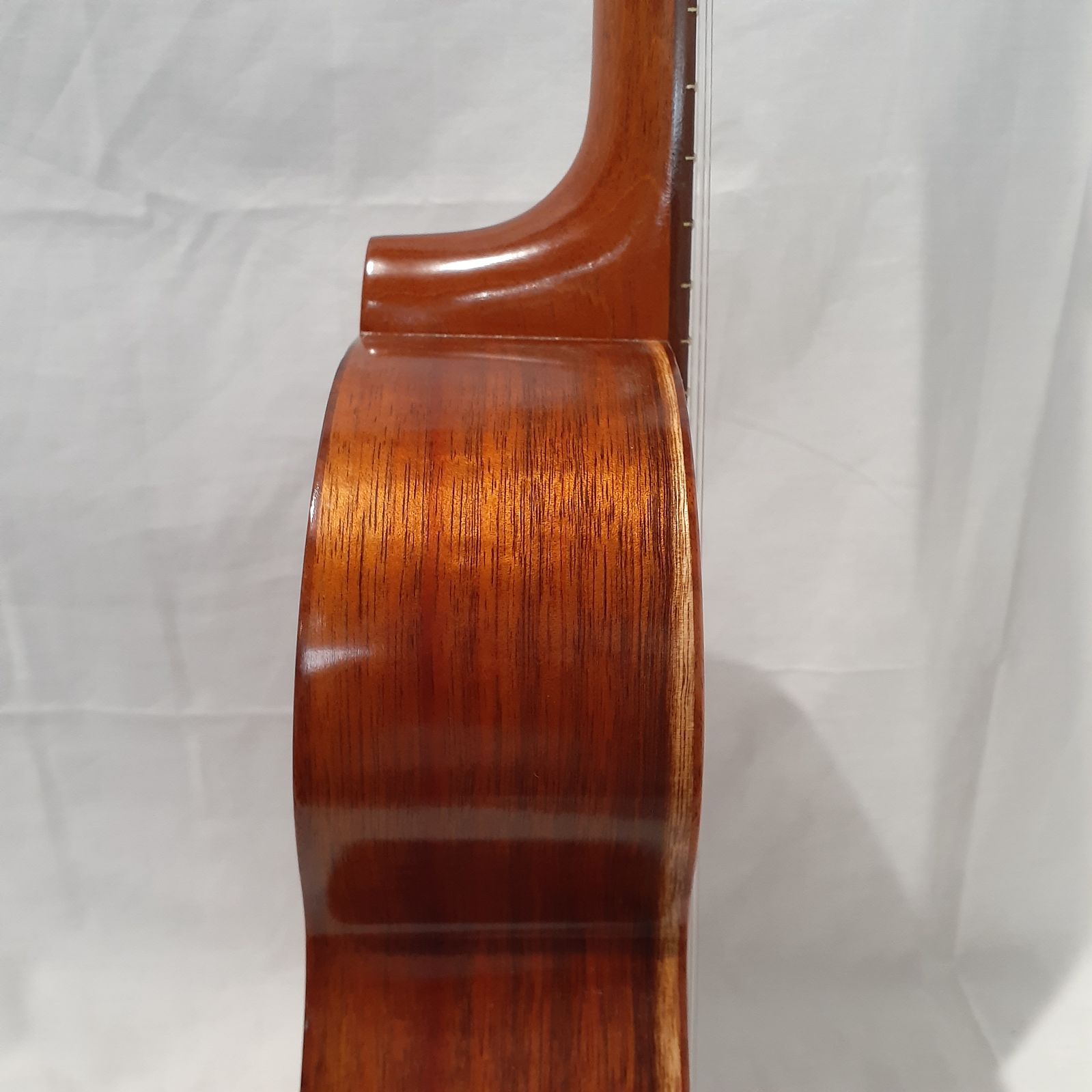 楽器 ケース付き