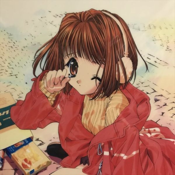 X1049 ◇未開封品 花穂 シスター・プリンセス A3サイズ クリア