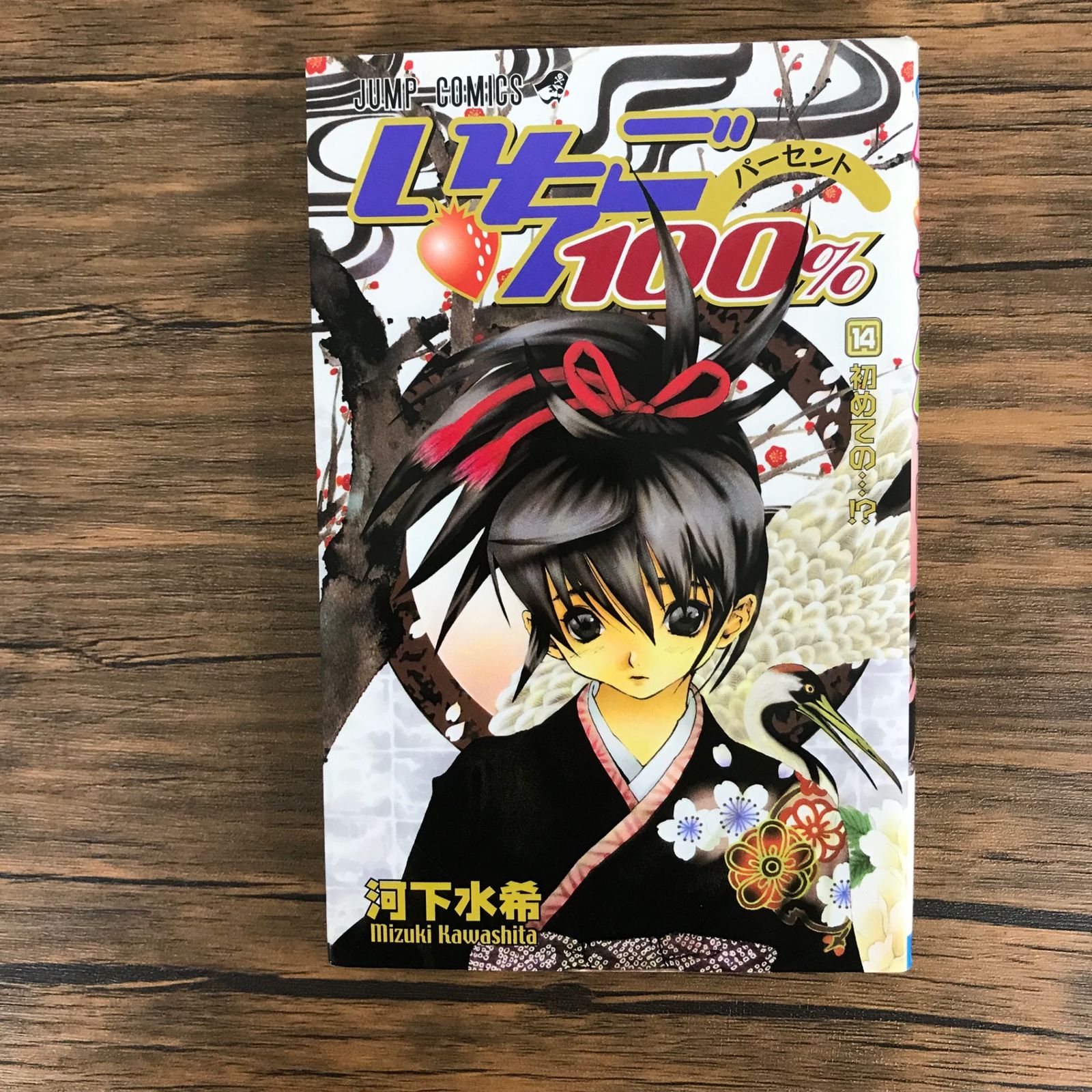 いちご☆ページ いちご100% 14巻/【作者】河下水希/GF-0225011644-YP/GF09621