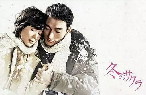 TVドラマDVD 冬のサクラ 豪華版 DVD-BOX 初回 生産