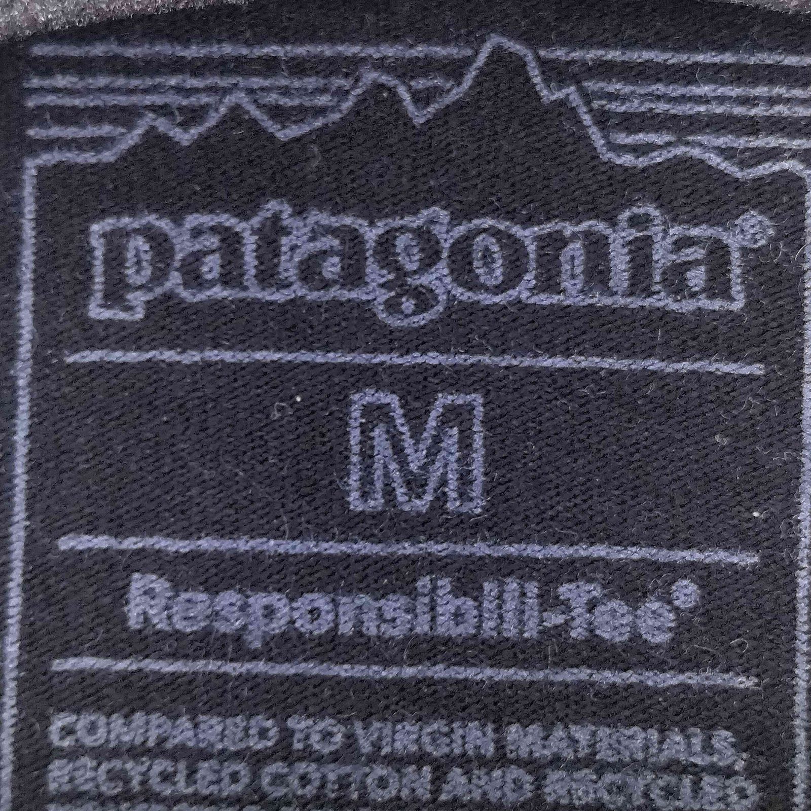 パタゴニア patagonia ロングスリーブ 73 テキスト ロゴ レスポンシビ 