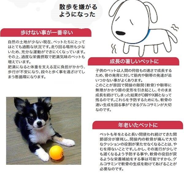 グルコサミン350 徳用袋タイプ500粒入り
