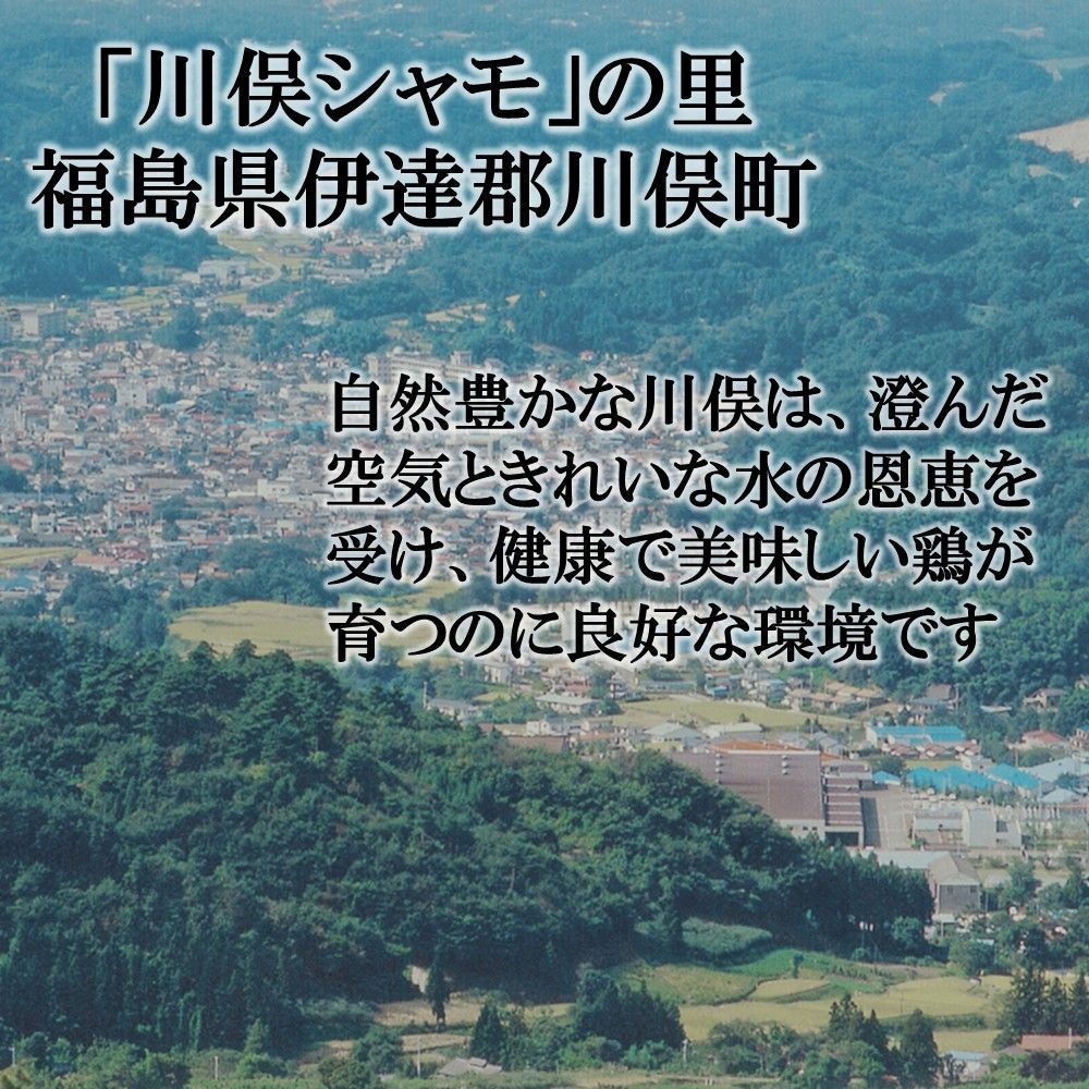 鶏肉 ジューシー半身