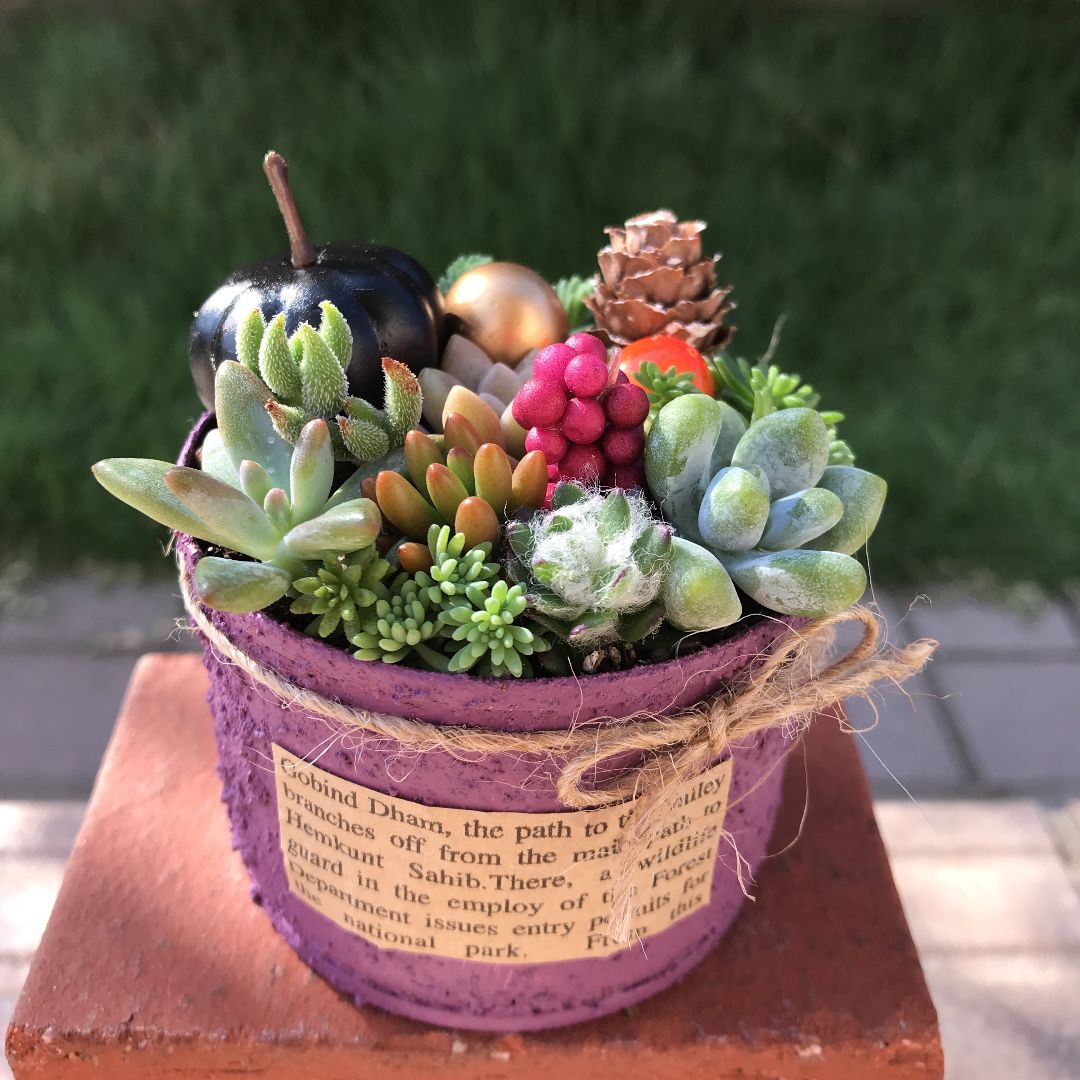 リメイク缶*ハンドメイド⭐️多肉植物に最適19缶 多肉植物寄せ植え(ハンドメイド、ハロウィン)リメイク缶（虹の玉