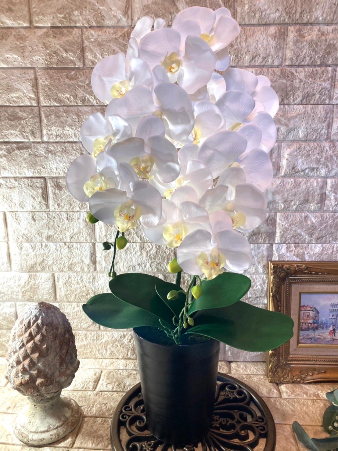 光触媒　人工観葉植物　ウォールグリーン　フェイクグリーン　リアル胡蝶蘭8755 光触媒 人工観葉植物 ウォールグリーン フェイクグリーン リアル胡蝶蘭