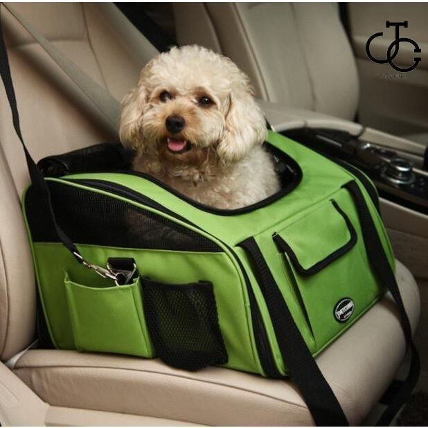 小型犬