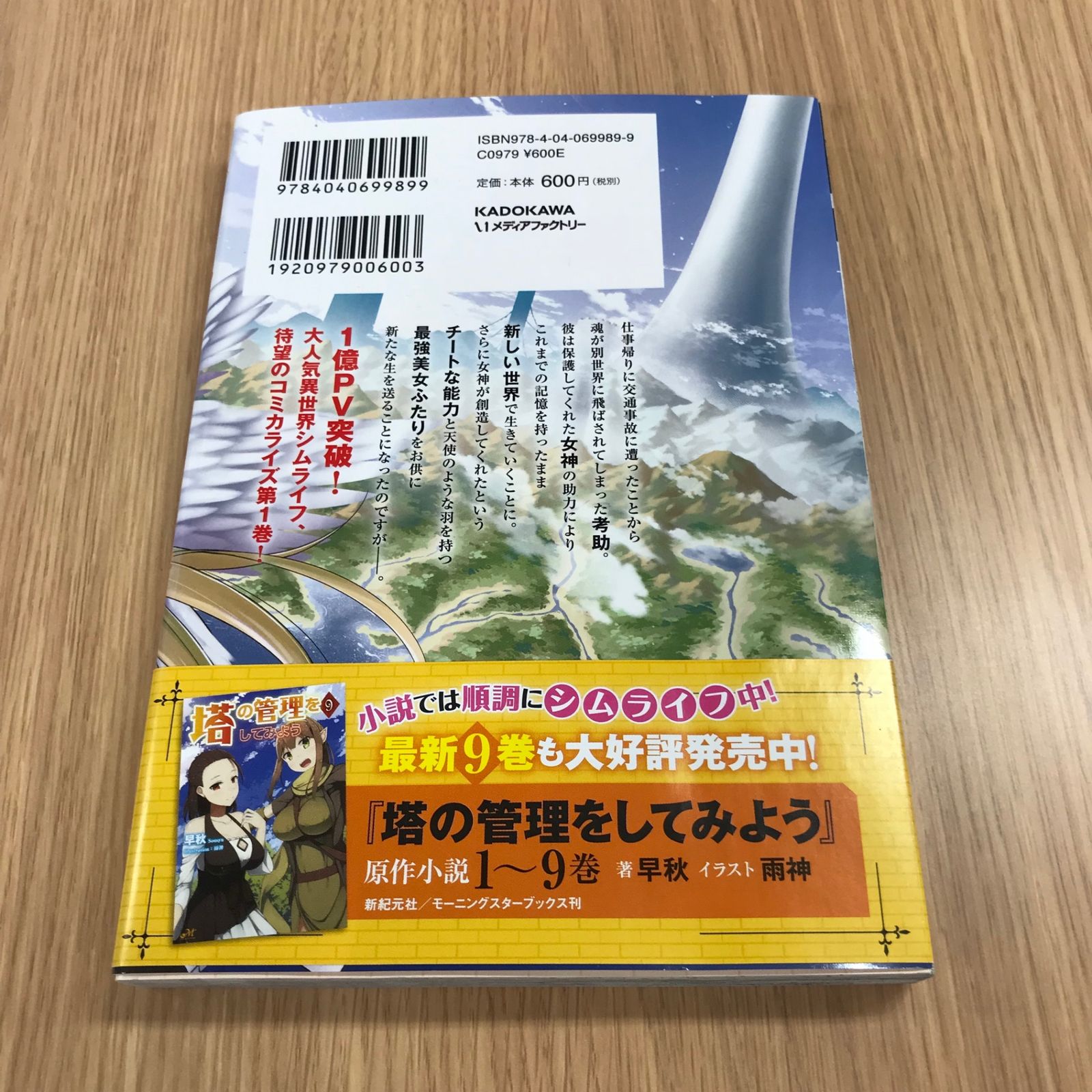 塔の管理をしてみよう 1巻 初版/【作者】盧恩＆雪笠（Friendly
