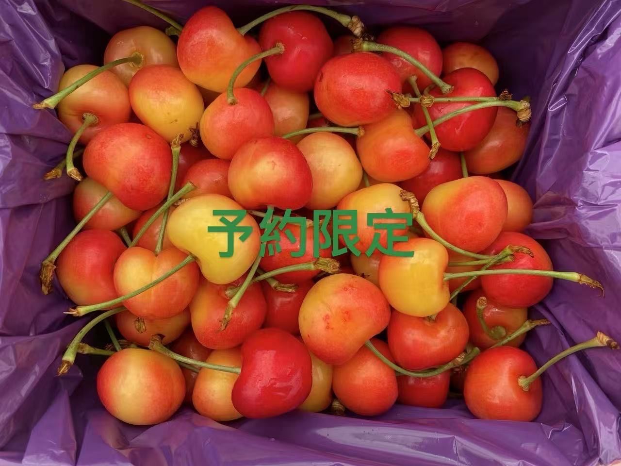 クール便‼️ライチ1kg &9.5rowアメリカンチェリー500g クール便‼️ オーストリア産のぶどう1kg 9.5rowアメリカン