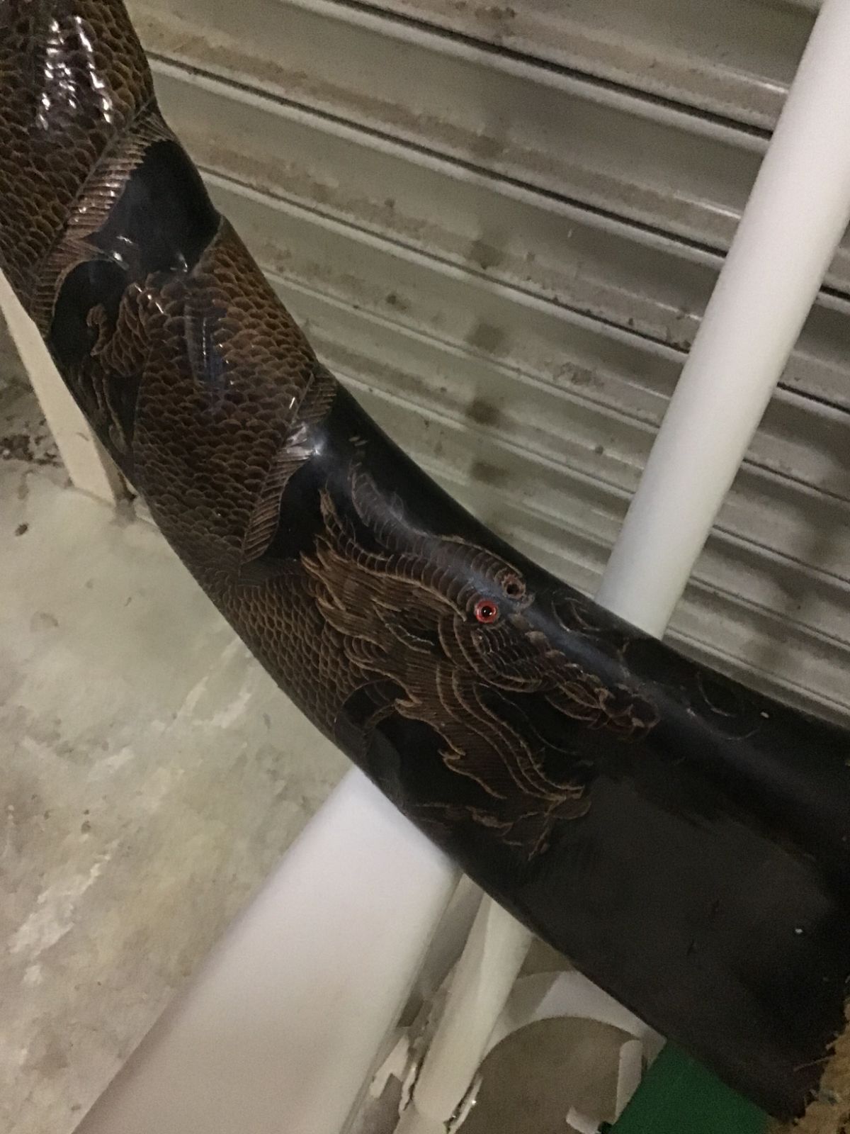 水牛の角 壁掛け 高級 置物 オブジェ アンティーク - メルカリ