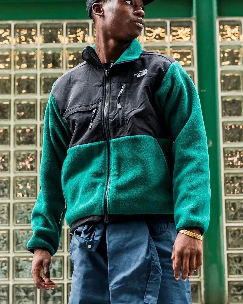 THE NORTH FACE 1995 レトロ デナリ デパート 正規発売