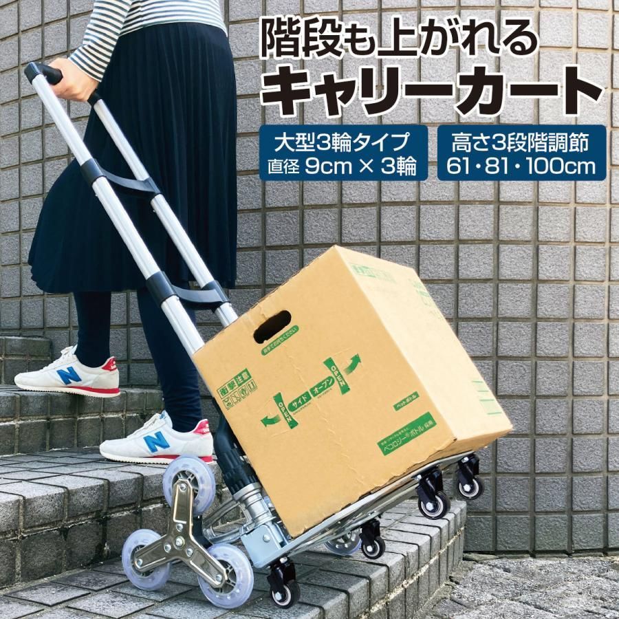 キャリーカート 折りたたみ 買い物 キャリーワゴン ショッピングカート 台車 コンパクト アウトドア キャンプ レジャー