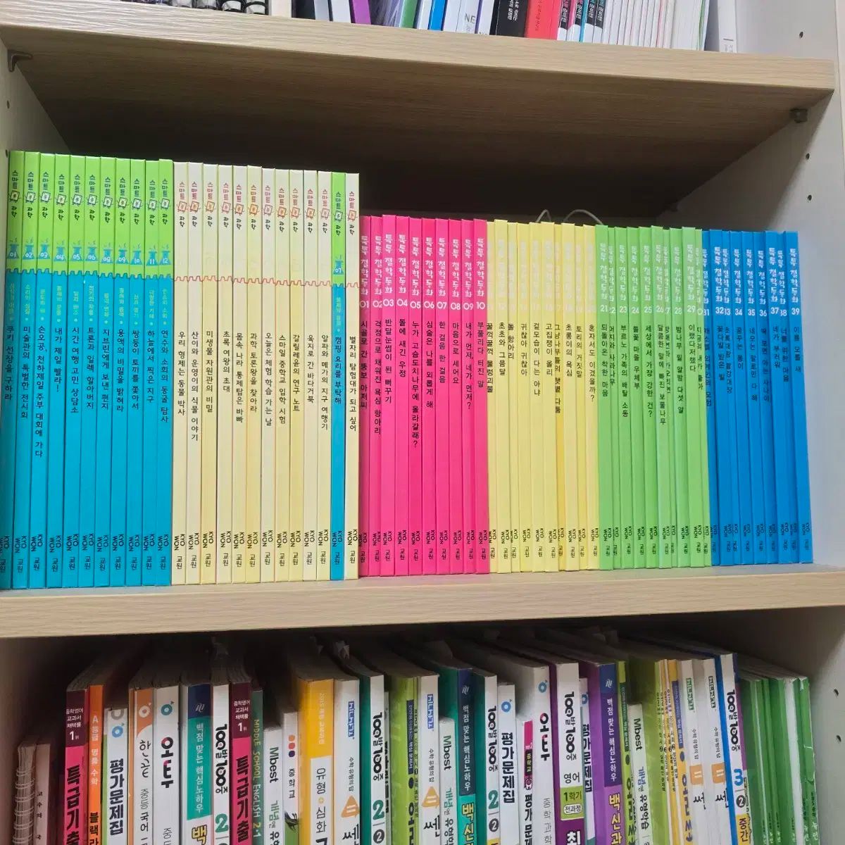 社会 数学