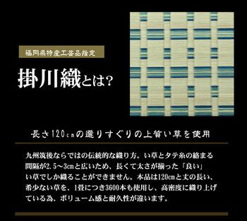 い草カーペット