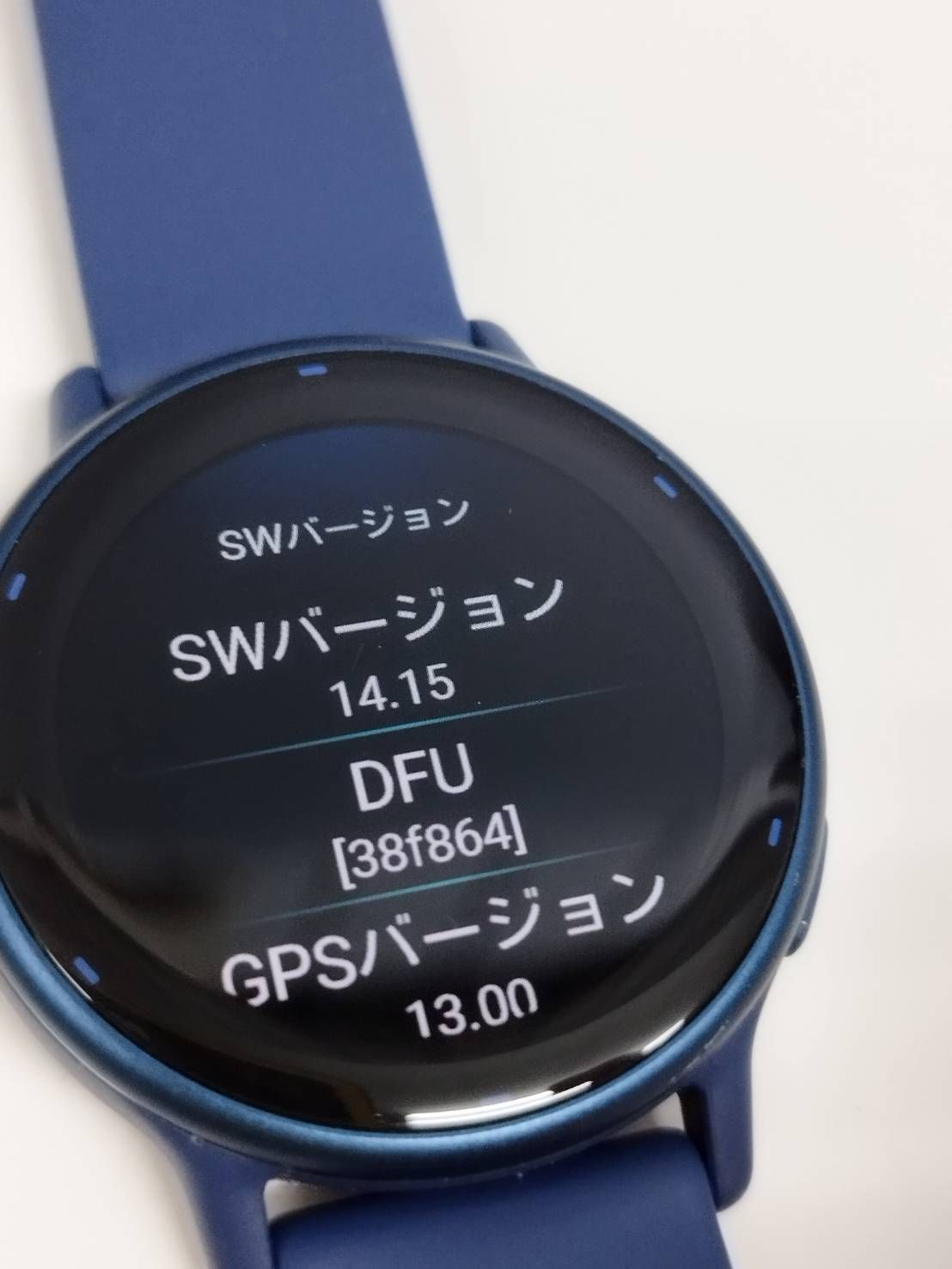 定番人気。 GARMIN VIVOACTIVE 5 A04724 フィットネスGPSウォッチ ブルー 夢が叶う